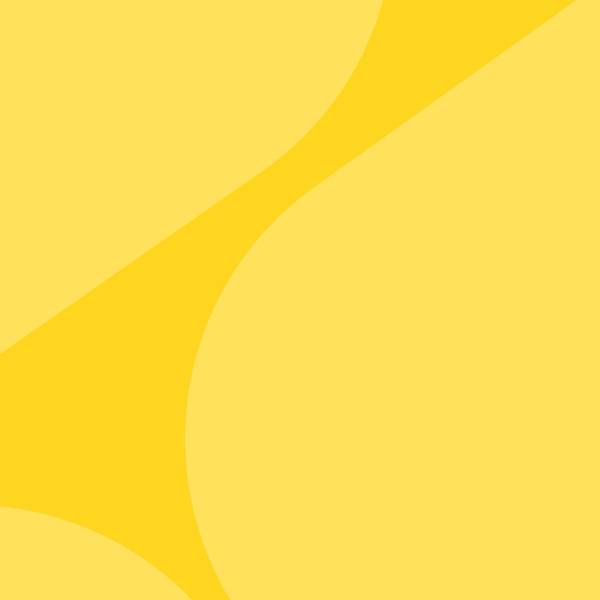 Delivery Decorative Painting Vlad France - Subjektiv.art