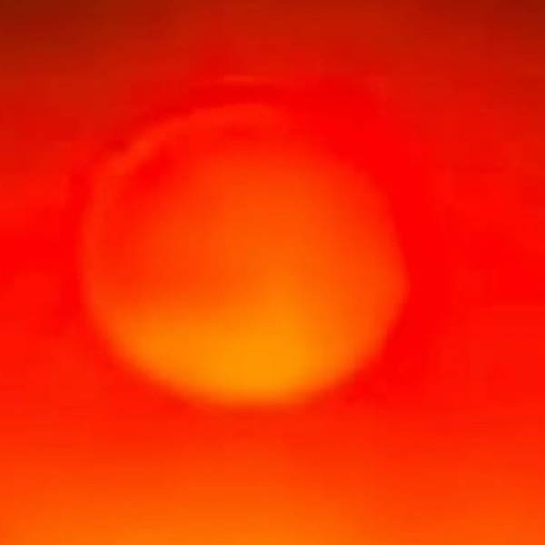 LA Realistic Painting Will Artist - Subjektiv.art