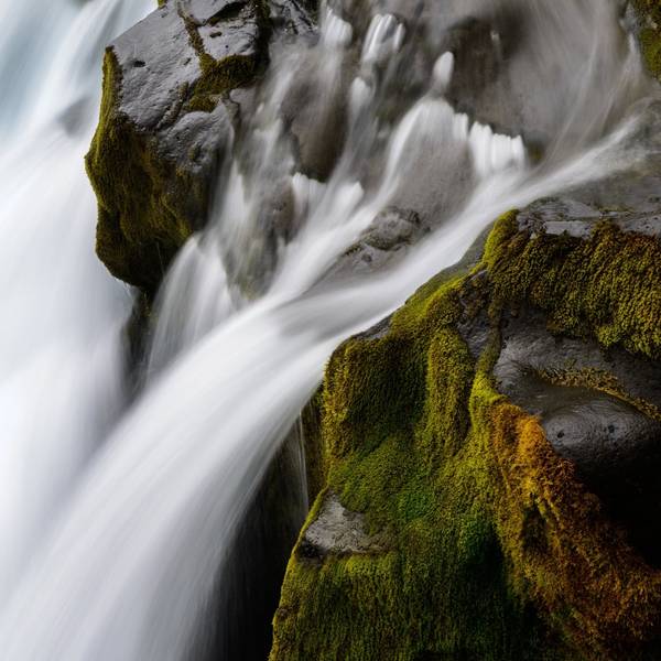 Test sale Artificial Painting Johndsfjdsfjskejfjlcesjlfjewlflsjkenflnwlnfsdf Artistfewifnweinflwenflinewlkfnlkewnflknelknflknlwkfesd - Subjektiv.art