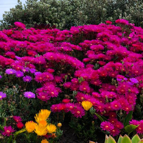 Test sale 2 Decorative Painting Johndsfjdsfjskejfjlcesjlfjewlflsjkenflnwlnfsdf Artistfewifnweinflwenflinewlkfnlkewnflknelknflknlwkfesd - Subjektiv.art