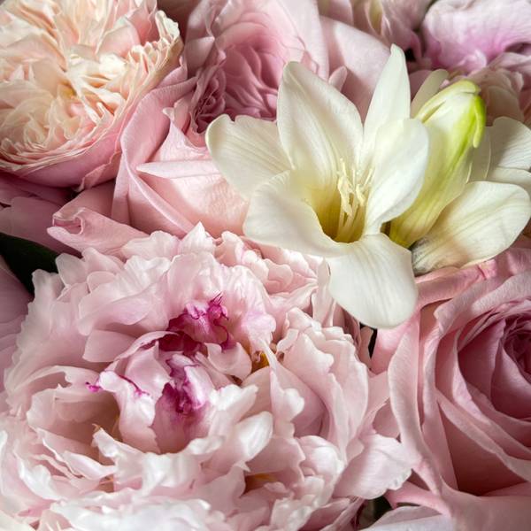 Direct Sale: Profile Link Expressive and gestural Painting Will Artist - Subjektiv.art