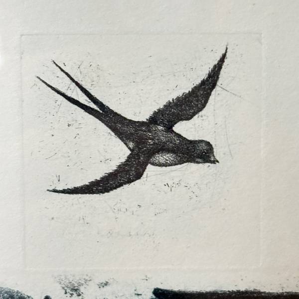 Swift Will Artist - Subjektiv.art