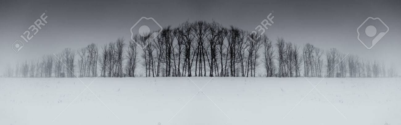 Long hor - Subjektiv.art