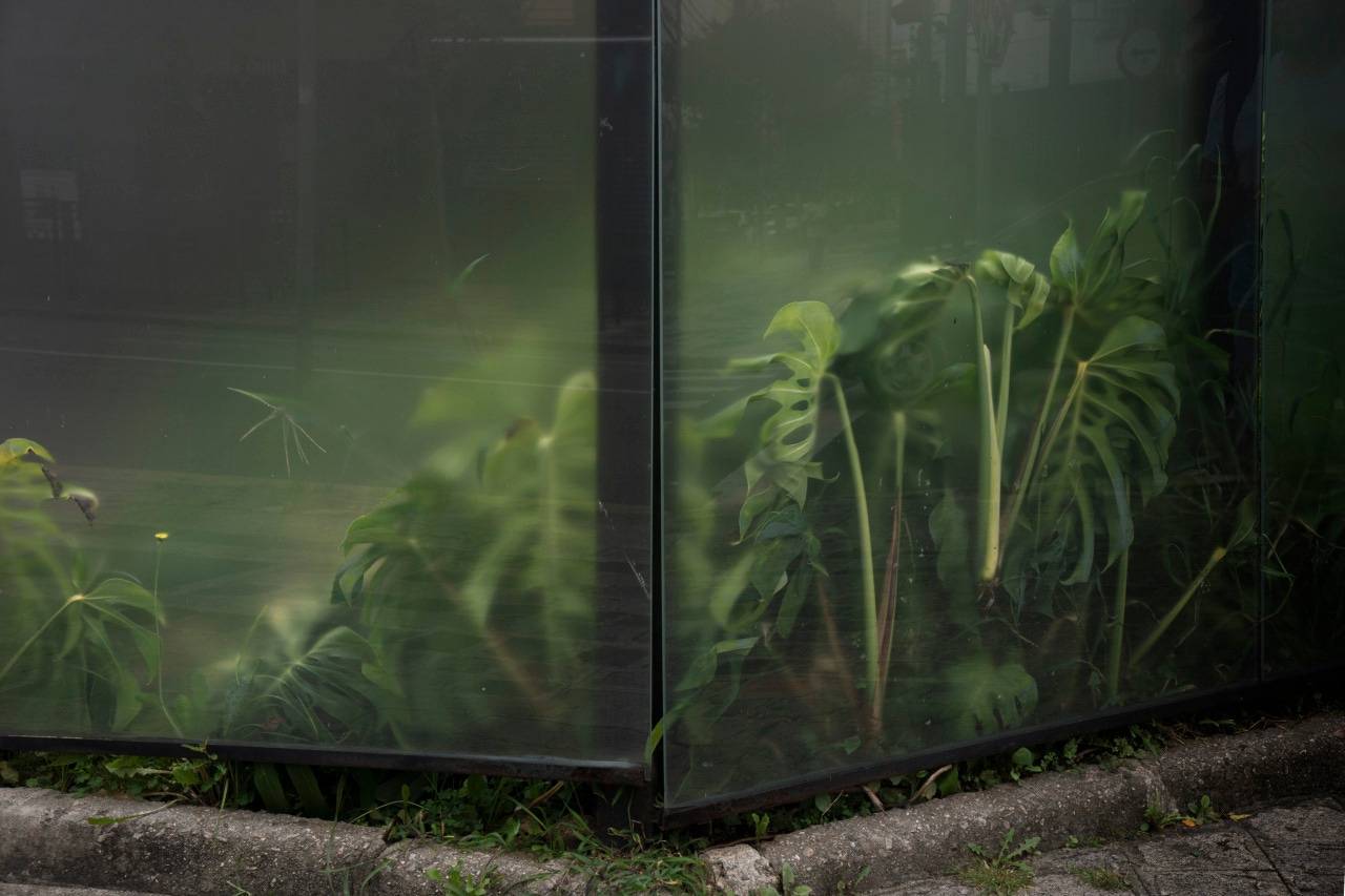 Garden Test - Subjektiv.art